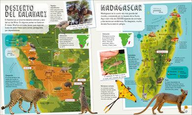 Mi primer atlas de animales (Children's Illustrated Animal Atlas) interior 4 (ISBN 9780593848166)