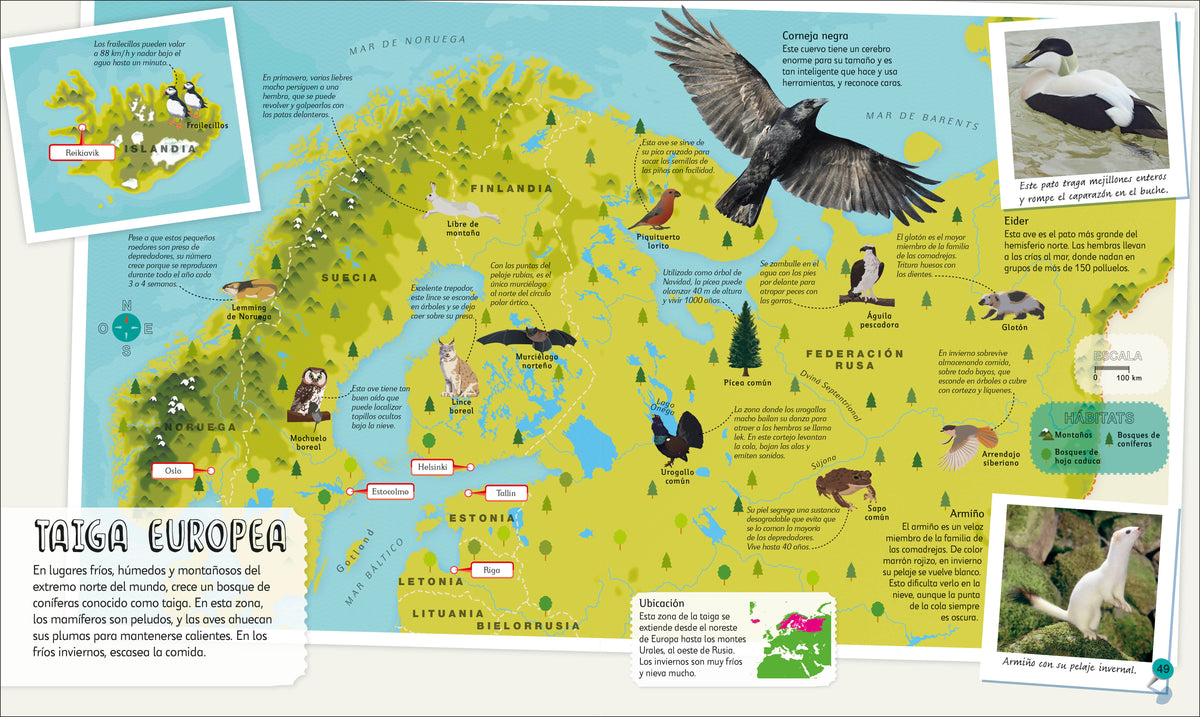 Mi primer atlas de animales (Children's Illustrated Animal Atlas) interior 5 (ISBN 9780593848166)