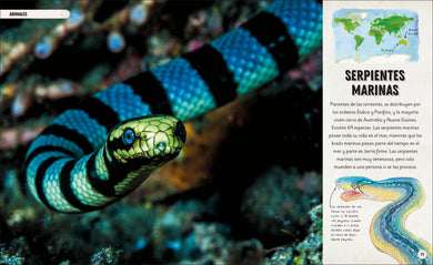 Océanos increíbles (Amazing Oceans) interior 5 (ISBN 9780593848197)