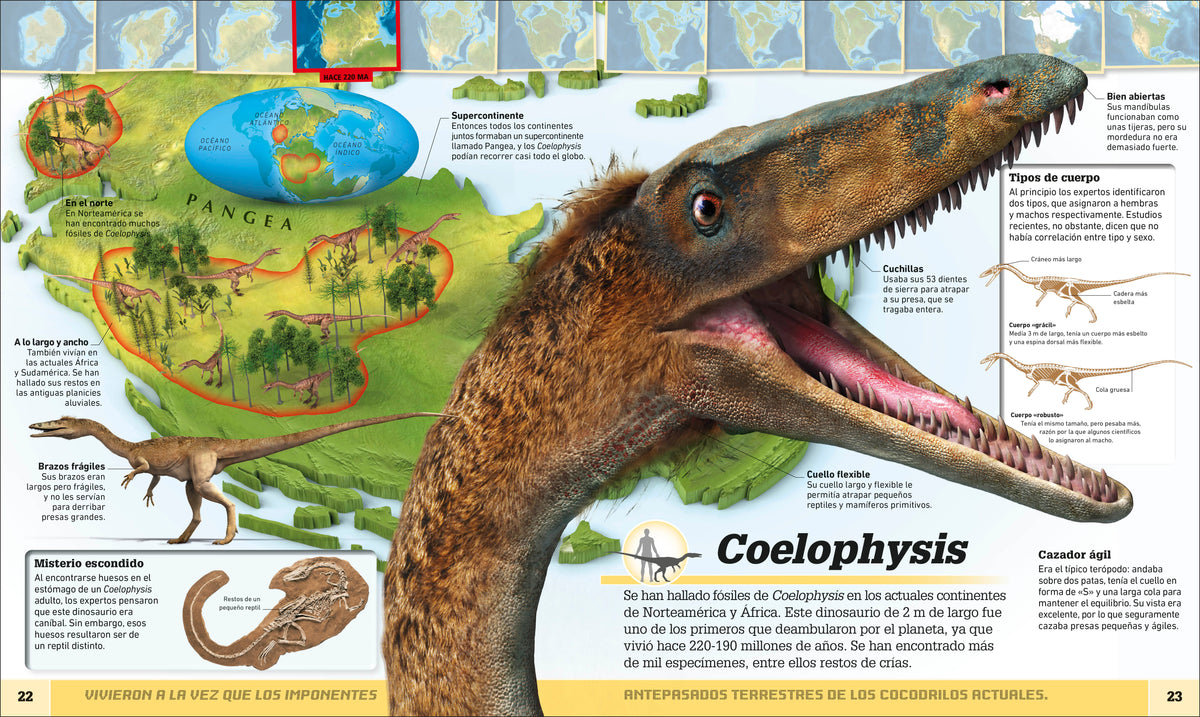 Atlas de dinosaurios (Where on Earth? Dinosaurs and Other Prehistoric Life) interior 1 (ISBN 9780593848302)