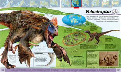 Atlas de dinosaurios (Where on Earth? Dinosaurs and Other Prehistoric Life) interior 5 (ISBN 9780593848302)