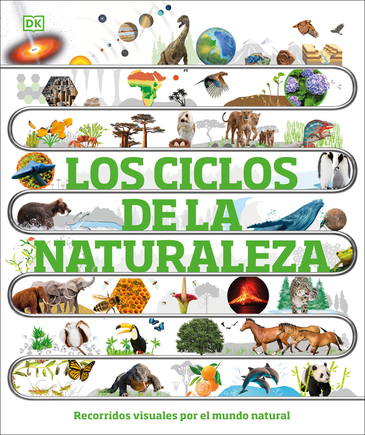 Los ciclos de la naturaleza (Timelines of Nature) cover (ISBN 9780593848319)