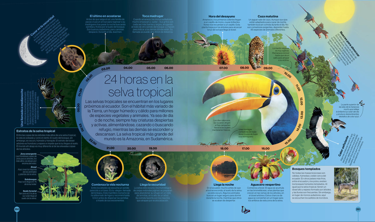 Los ciclos de la naturaleza (Timelines of Nature) interior 5 (ISBN 9780593848319)