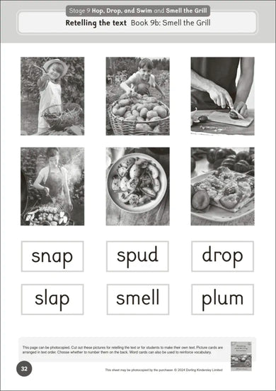 Phonic Books Dandelion World Extras Stages 8-15 Activities US - Paperback / softback