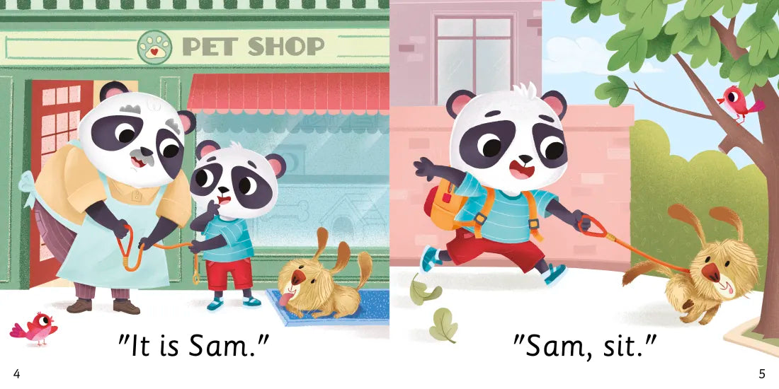 DK Super Phonics My First Decodable Stories Pet Shop Panda US - Multiple-component retail product, boxed