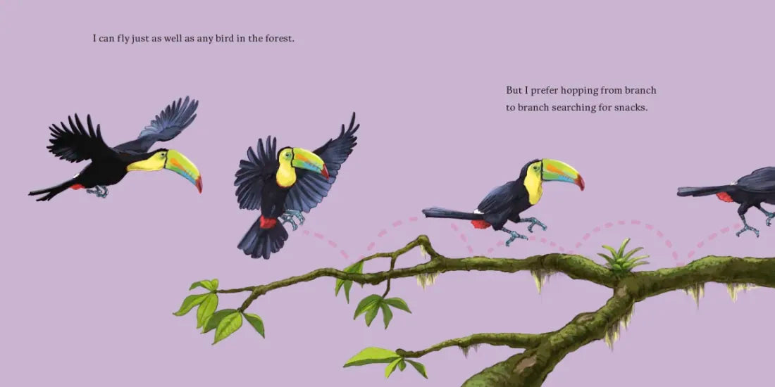 Hello, I'm a Toucan (Meet the Wild Things, Book 5) US - Hardback