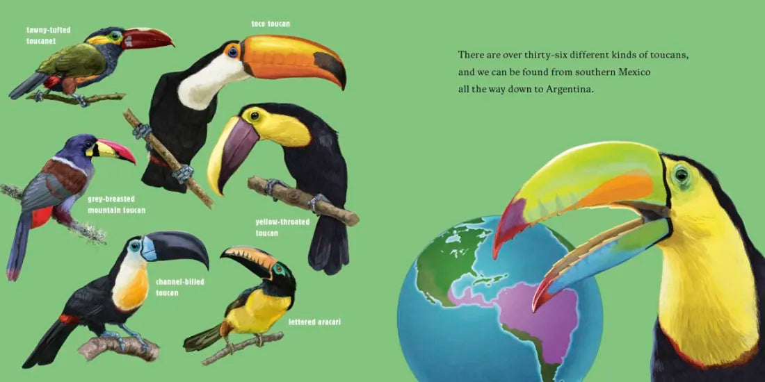 Hello, I'm a Toucan (Meet the Wild Things, Book 5) US - Hardback