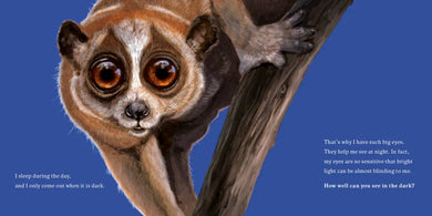 Hello, I'm a Loris (Meet the Wild Things, Book 6) US - Hardback