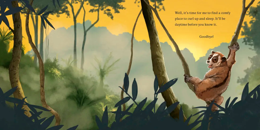 Hello, I'm a Loris (Meet the Wild Things, Book 6) US - Hardback
