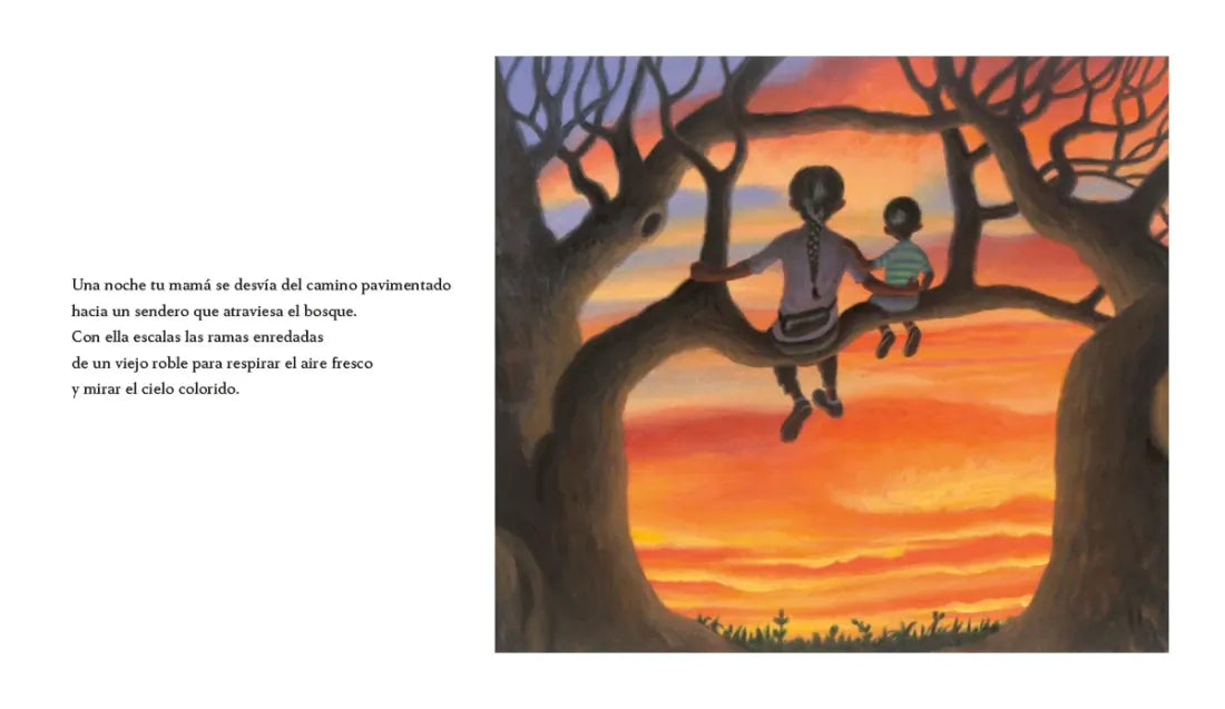 Hogar (Home Spanish Edition) US - Hardback