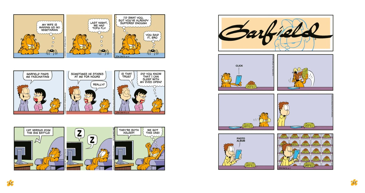 Garfield Fat Cat 3-Pack #25 US - Paperback / softback
