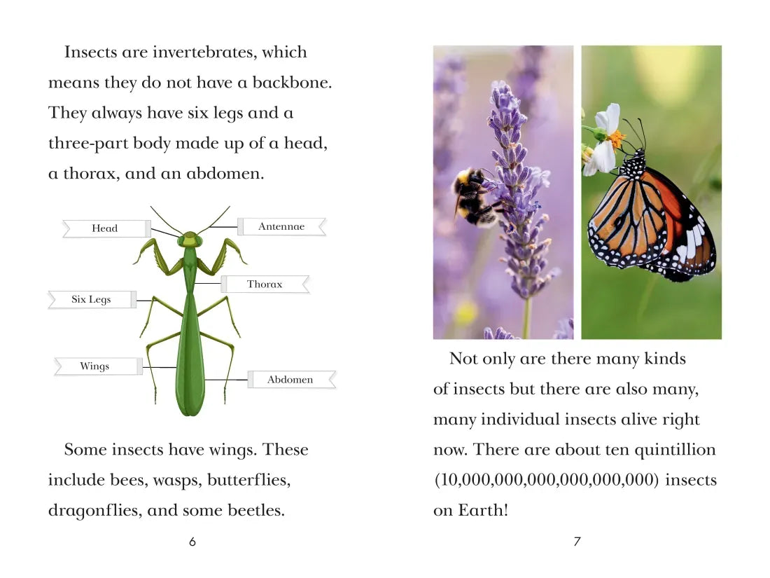 TIME for Kids: Insects US - Hardback