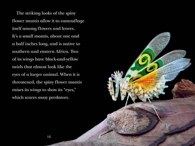 TIME for Kids: Insects US - Hardback