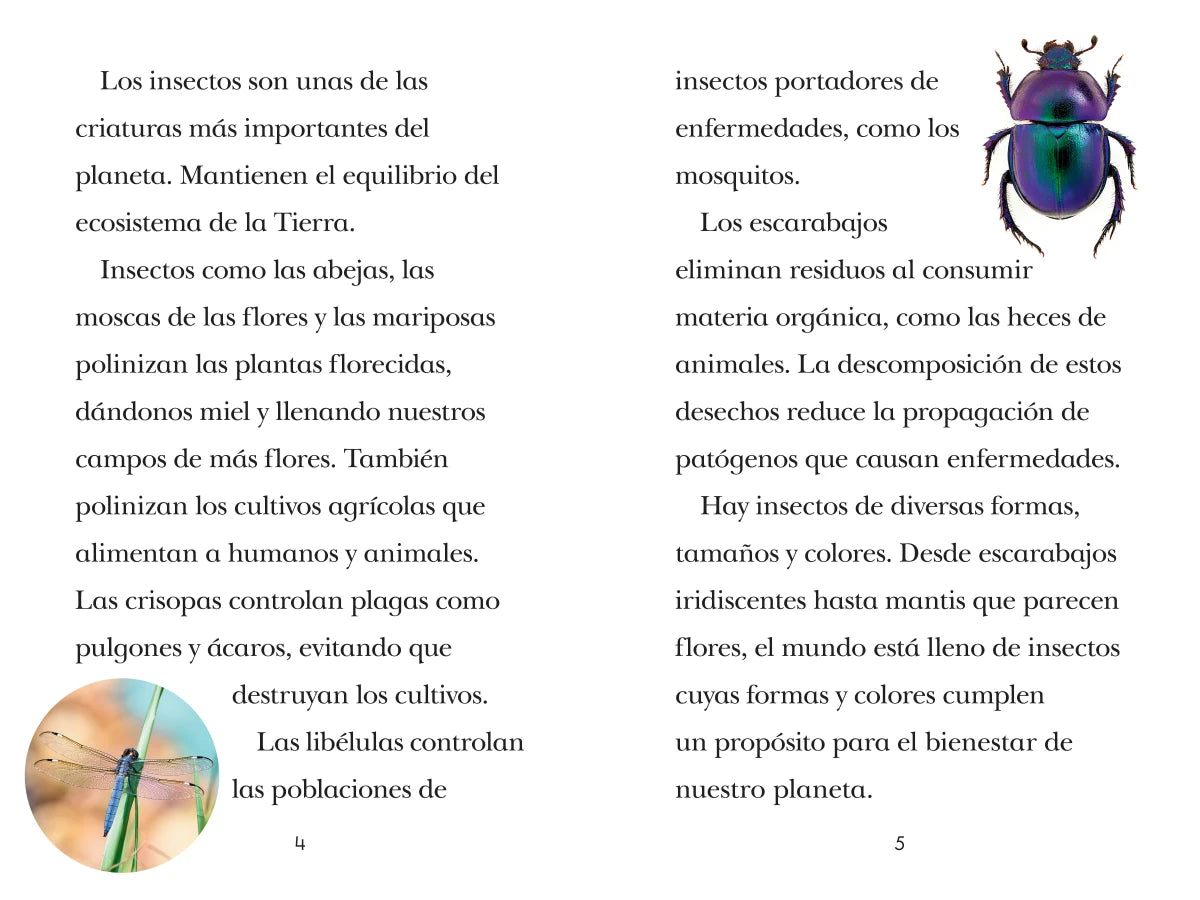 TIME for Kids: Insectos (TIME for Kids: Insects Spanish Edition) US - Hardback