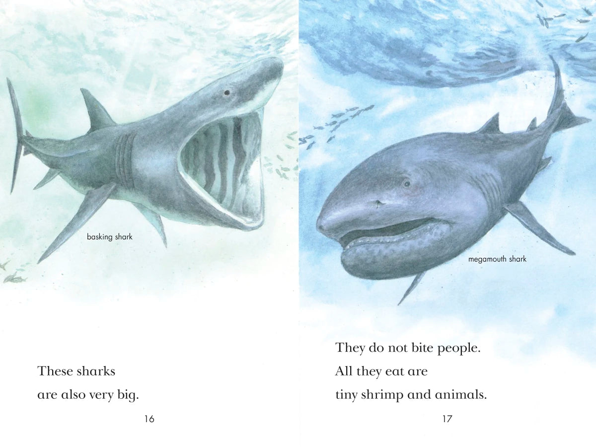 Sharks! US - Hardback