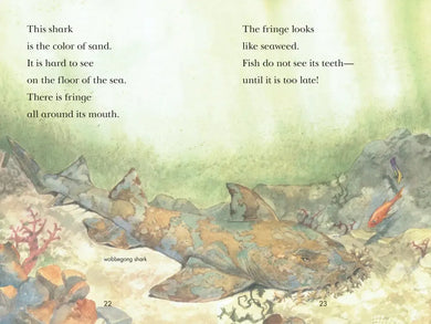 Sharks! US - Hardback