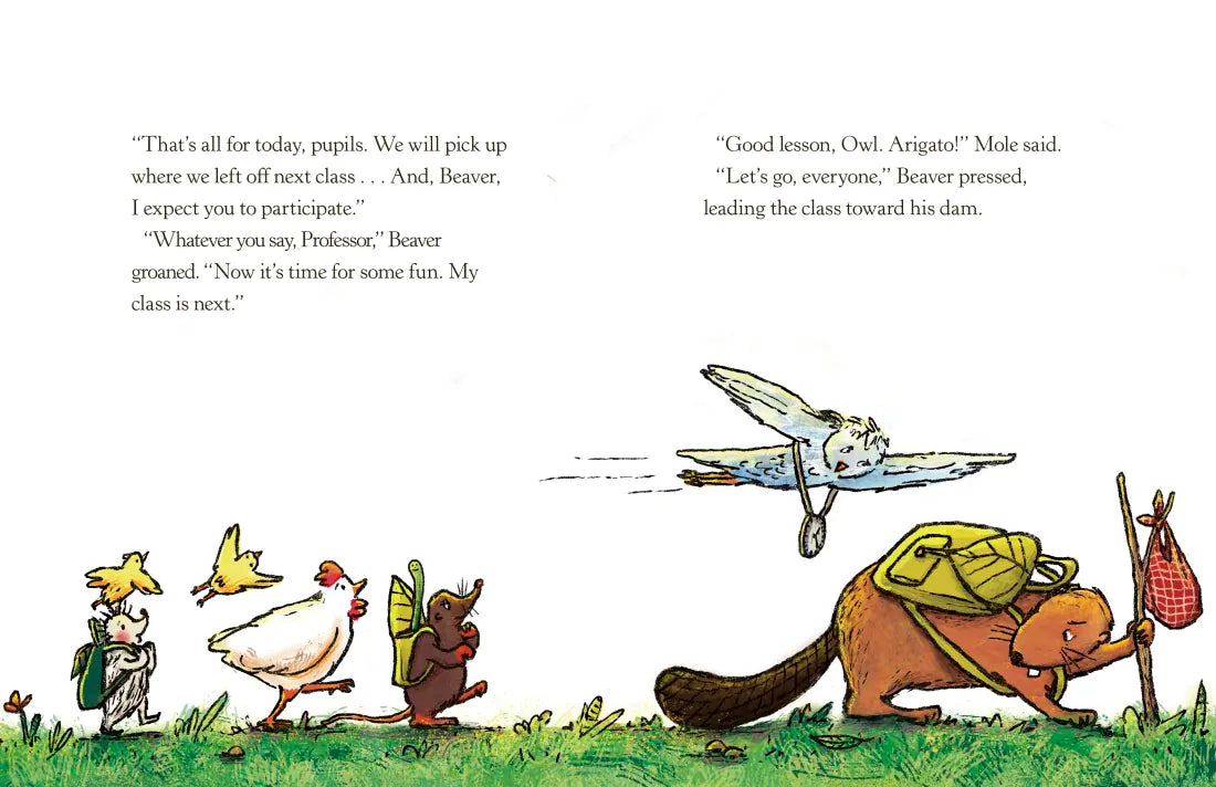 School for Woodland Creatures US - Paperback / softback