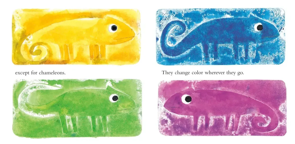 A Color of His Own with Color Wheel US - Board book