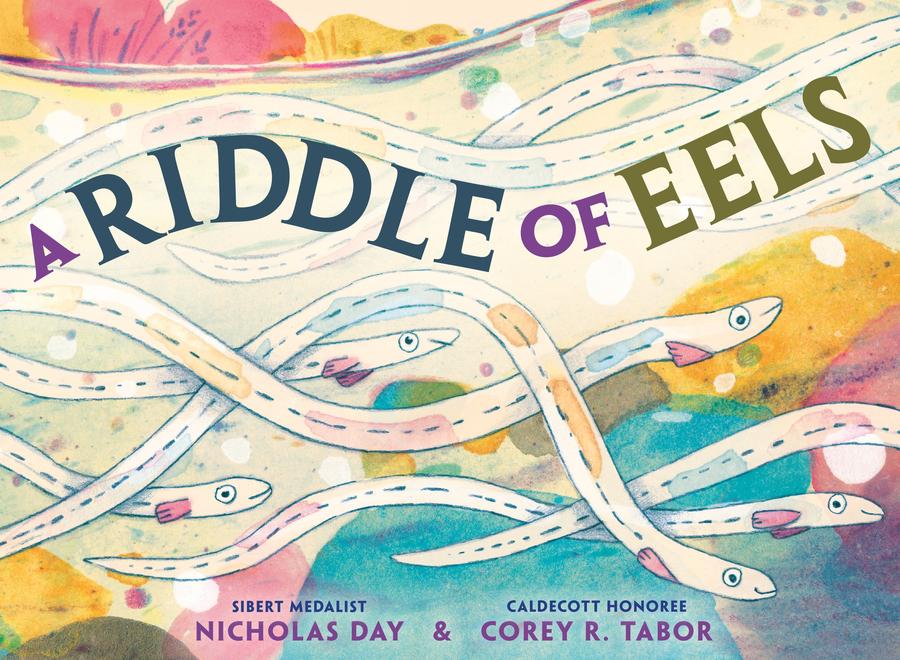 A Riddle of Eels-Children’s / Teenage general interest: Nature and animals-買書書 BuyBookBook