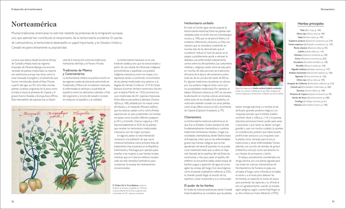 Enciclopedia de plantas medicinales (Encyclopedia of Herbal Medicine) interior 2 (ISBN 9780593958971)