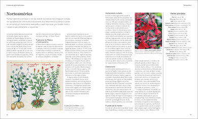 Enciclopedia de plantas medicinales (Encyclopedia of Herbal Medicine) interior 2 (ISBN 9780593958971)