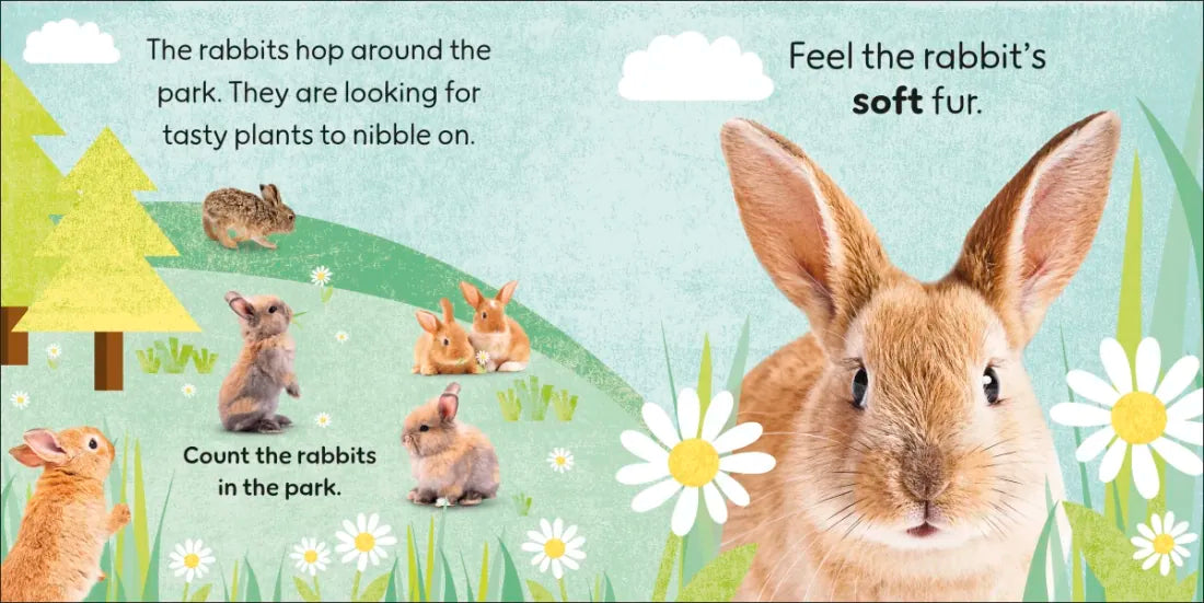 Touch and Feel Baby Animals US - Board book (9780593959152)