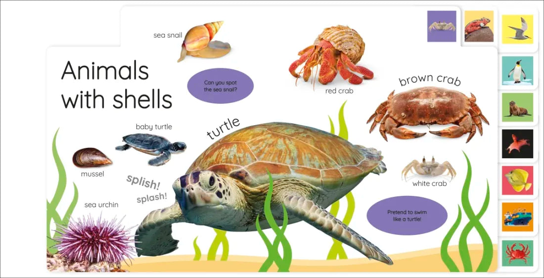 My First Ocean: Let’s Dive In and Explore! US - Board book