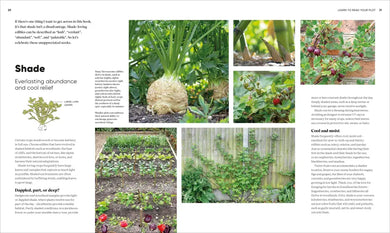 Grow Food Anywhere US - Hardback