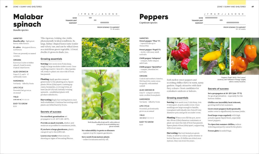 Grow Food Anywhere US - Hardback