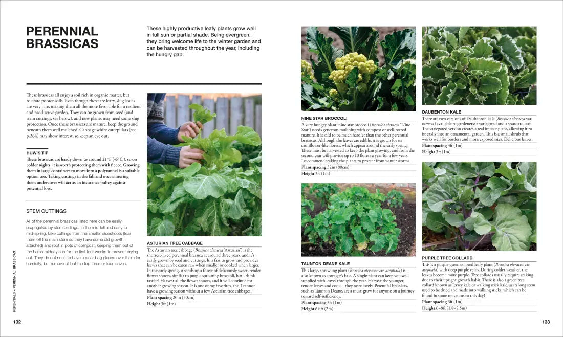The Permaculture Garden US - Hardback