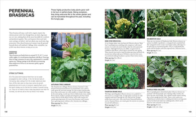 The Permaculture Garden US - Hardback