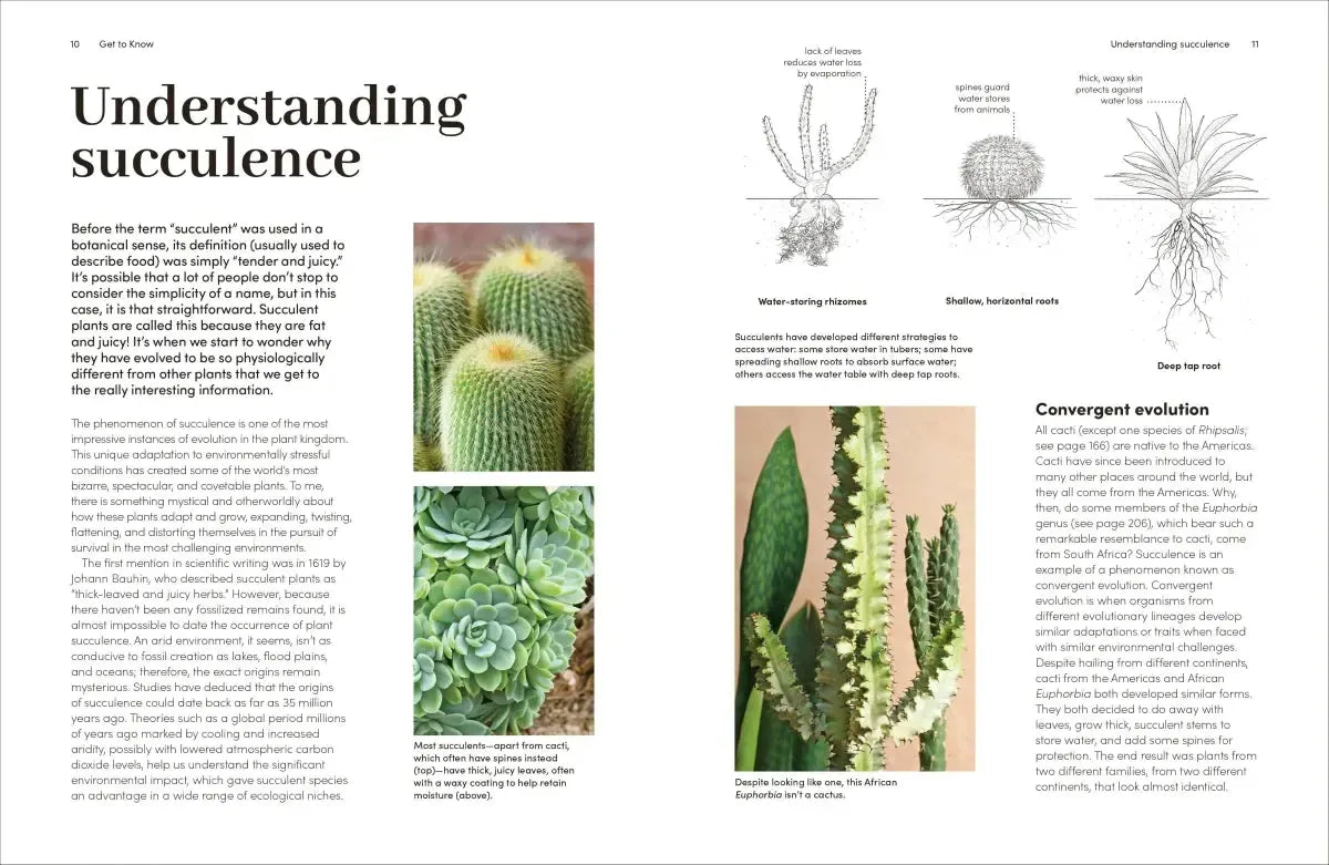 Cacti and Succulents US - Hardback