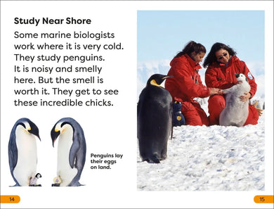 DK Super Readers Level 1 A Day in the Life of a Marine Biologist US - Paperback / softback