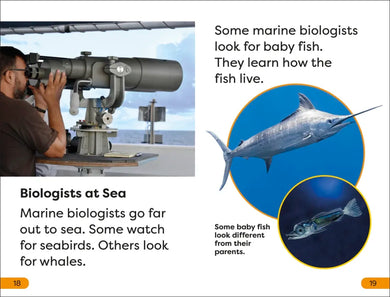 DK Super Readers Level 1 A Day in the Life of a Marine Biologist US - Paperback / softback