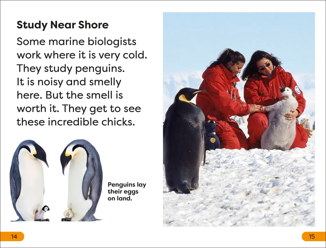 DK Super Readers Level 1 A Day in the Life of a Marine Biologist US - Hardback
