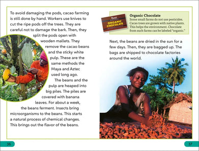 DK Super Readers Level 3 The Story of Chocolate US - Paperback / softback