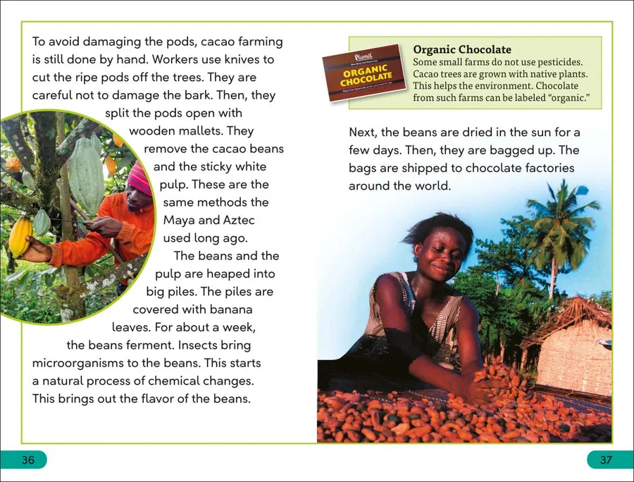 DK Super Readers Level 3 The Story of Chocolate US - Paperback / softback