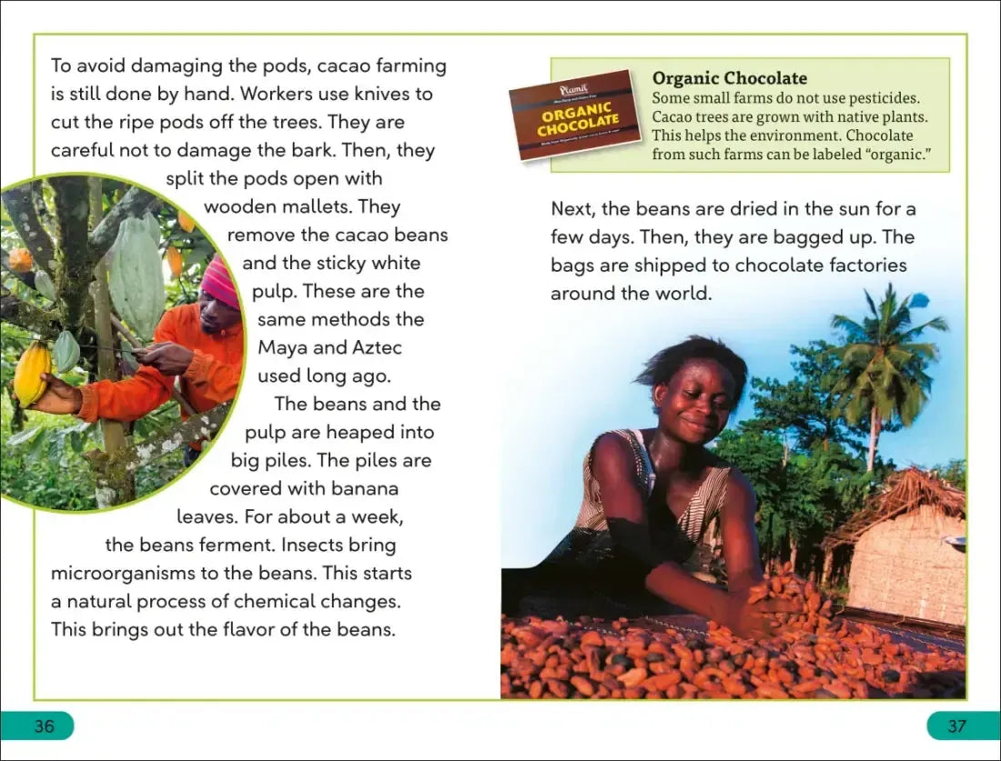 DK Super Readers Level 3 The Story of Chocolate US - Hardback