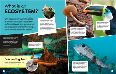 DK Super Planet Essential Ecosystems US - Hardback