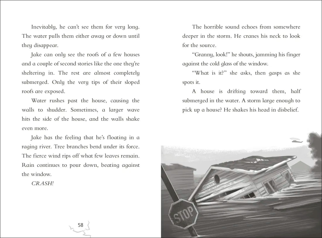 Against the Odds: Hurricane Katrina US - Paperback / softback