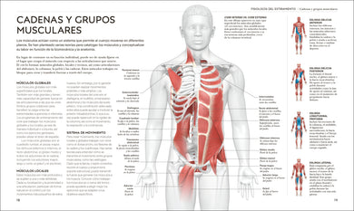 Estiramientos (Science of Stretch) interior 2 (ISBN 9780593963036)