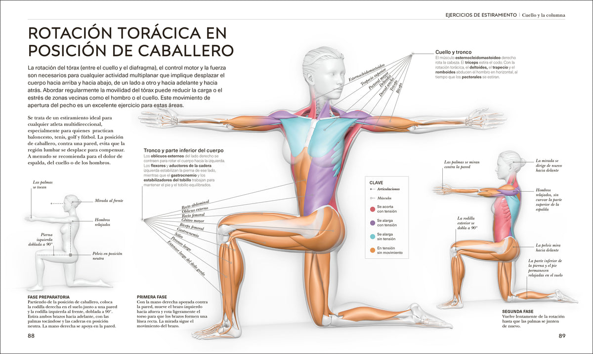 Estiramientos (Science of Stretch) interior 3 (ISBN 9780593963036)