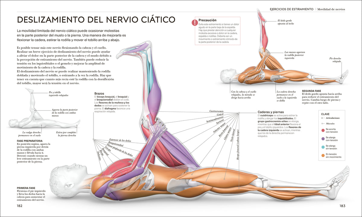 Estiramientos (Science of Stretch) interior 5 (ISBN 9780593963036)