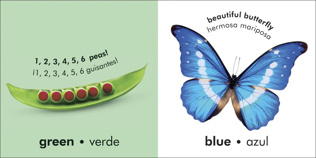 Bilingual Baby Touch and Feel: Colors / Los Colores US - Board book