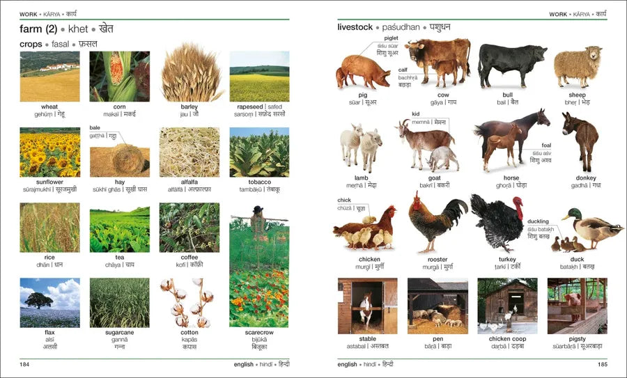 Hindi - English Bilingual Visual Dictionary US - Paperback / softback