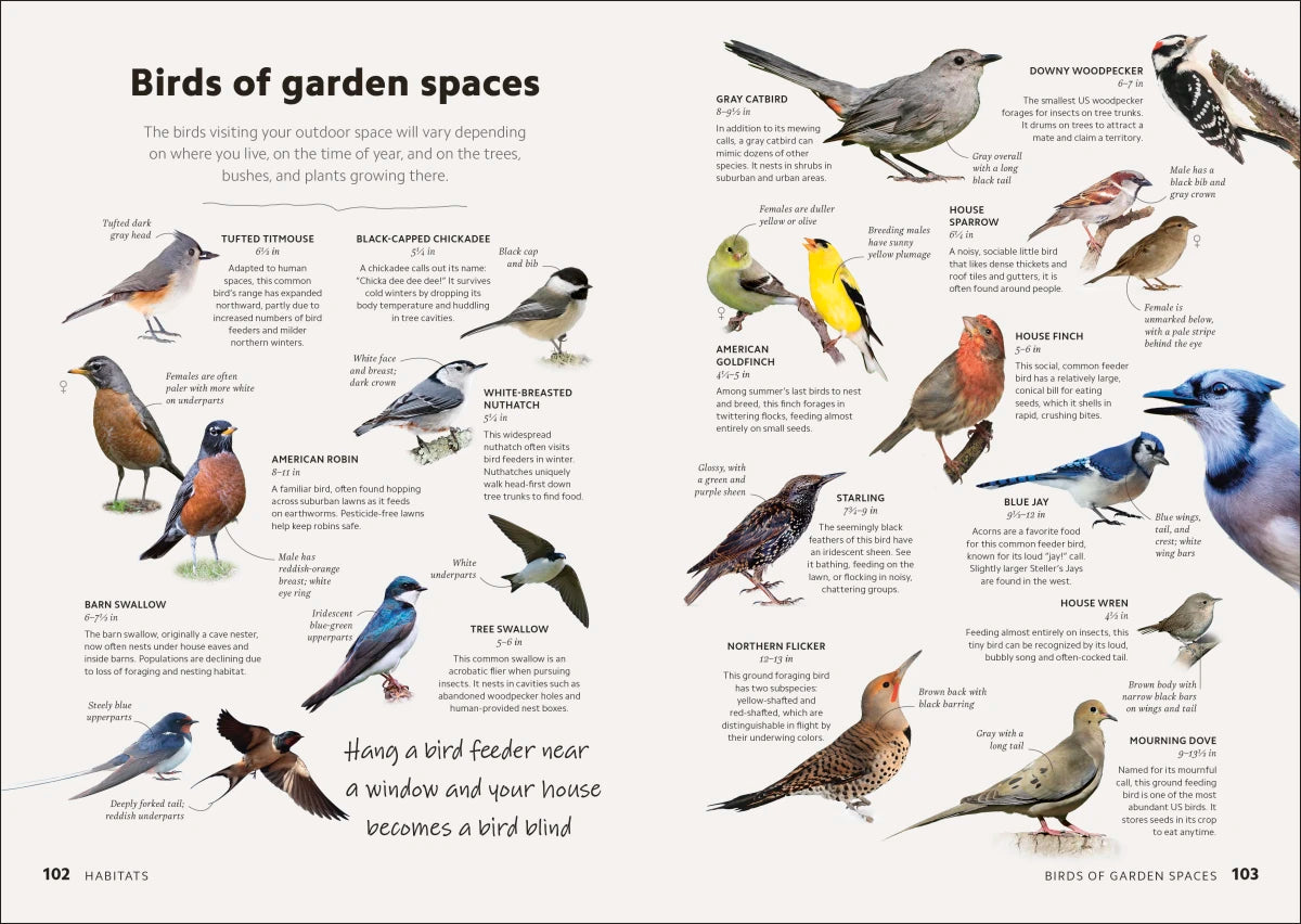 Birdwatching Guide US - Hardback