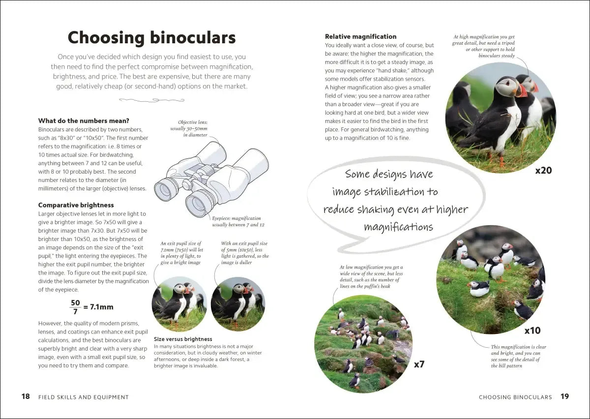 Birdwatching Guide US - Hardback