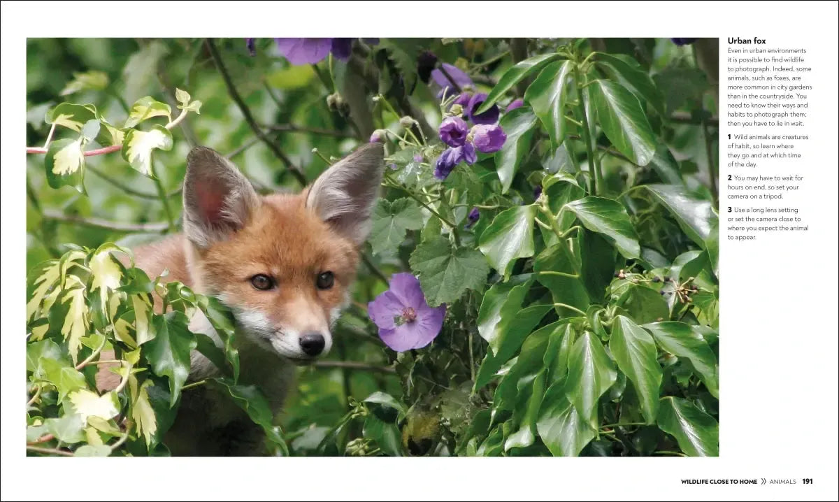 How to Photograph Absolutely Everything US - Hardback
