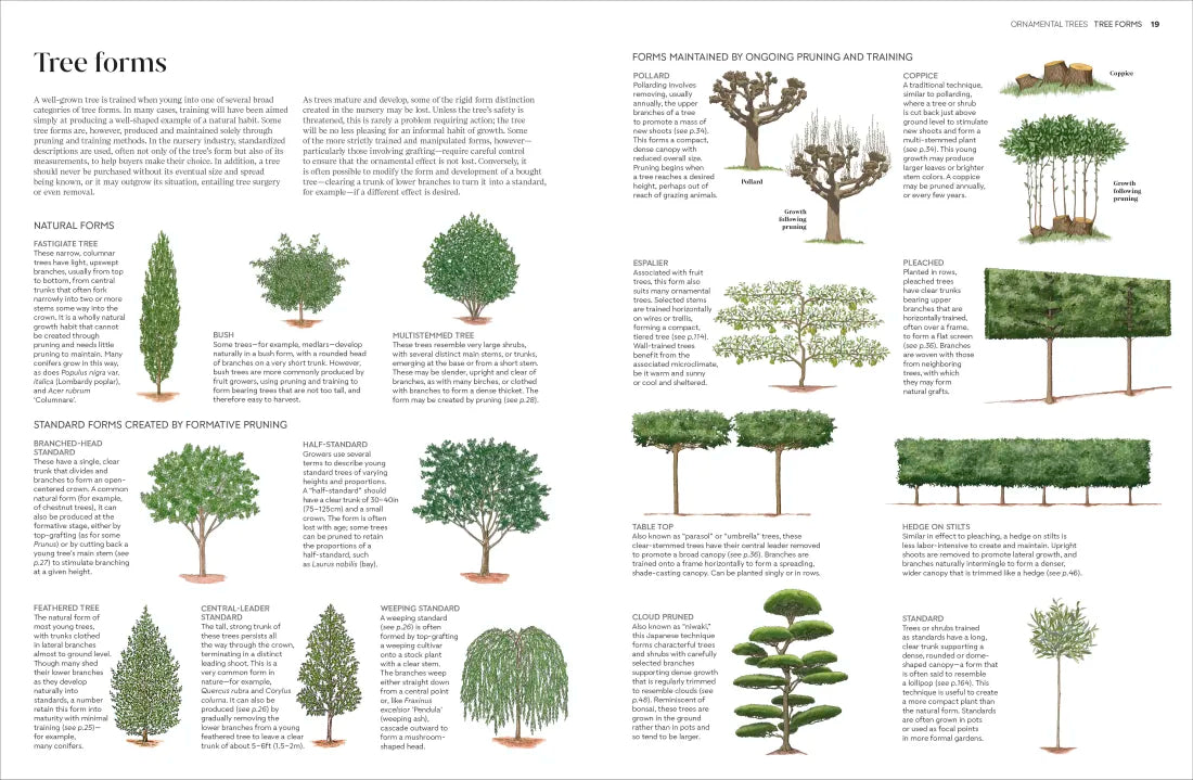 Pruning and Training US - Hardback