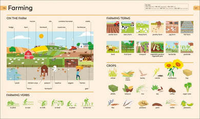 Children's Visual Dictionary US - Hardback